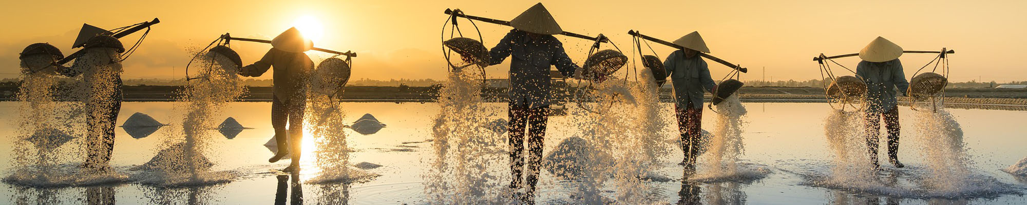 salt harvesting in Vietnam