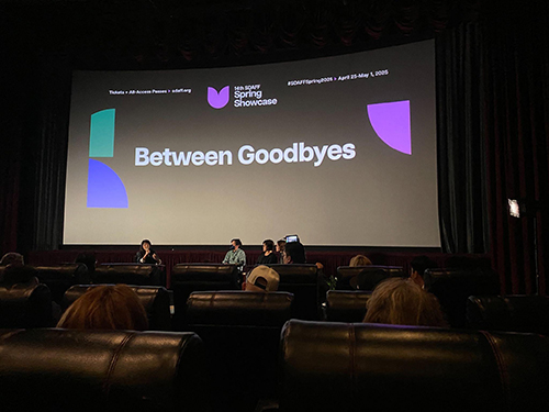 film festival audience at Between Goodbyes