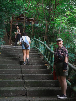 people walk up steps toward wooded area